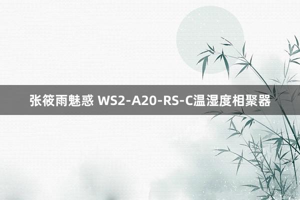 张筱雨魅惑 WS2-A20-RS-C温湿度相聚器