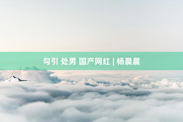 勾引 处男 国产网红 | 杨晨晨
