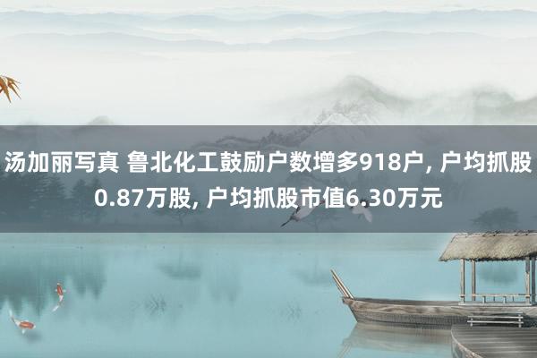 汤加丽写真 鲁北化工鼓励户数增多918户， 户均抓股0.87万股， 户均抓股市值6.30万元