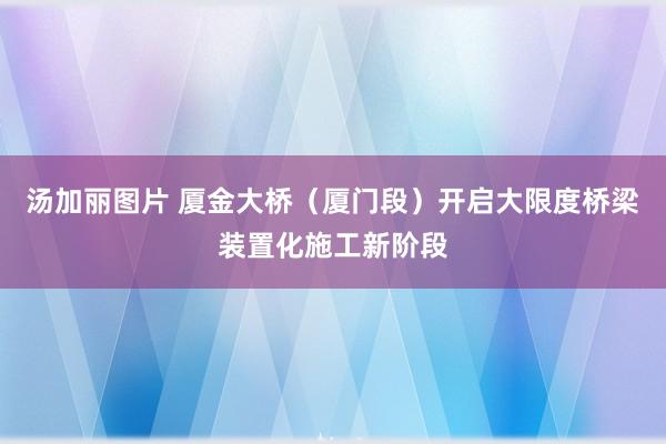 汤加丽图片 厦金大桥（厦门段）开启大限度桥梁装置化施工新阶段