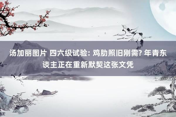 汤加丽图片 四六级试验: 鸡肋照旧刚需? 年青东谈主正在重新默契这张文凭