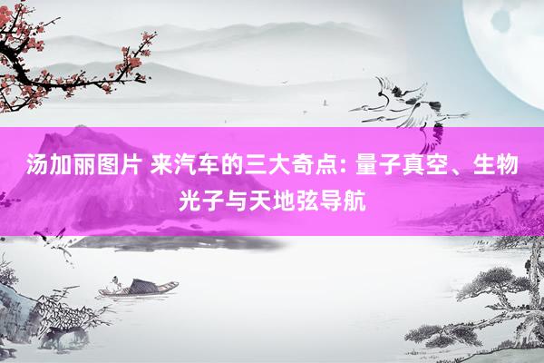 汤加丽图片 来汽车的三大奇点: 量子真空、生物光子与天地弦导航